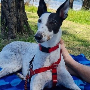 Meet your Posher, Joanne